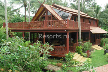 Coconut Paradise 15